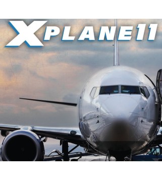 X-Plane 11 Digital Download Key GLOBAL
